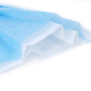 PM2.5 3 Ply Earloop Face Mask