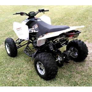 250cc Quad Four Wheeler Water Cooled Youth Racing ATV