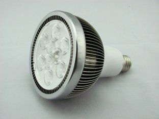 LED PAR38-18W PAR Light/Lamp