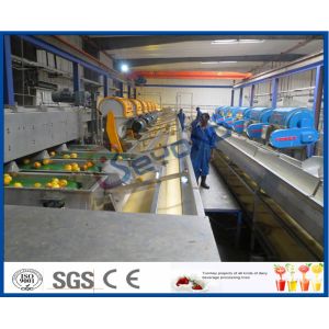 CE Citrus Processing Equipment , Orange Juice Plant With Fruit Processing