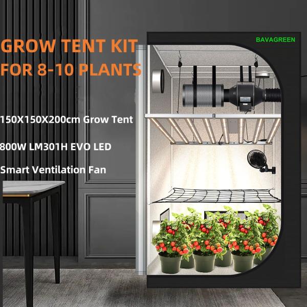 BAVAGREEN 800W Samsung LM301H EVO Commercial Plant Lamp Full Spectrum UV IR LED Grow Light for Horticulture Greenhouse