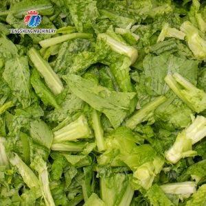 Vegetables bubble washing machine Wash Washer Washing Cleaning processing