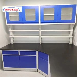 Polishing Chemistry Lab Furniture - Achieve Optimum Functionality