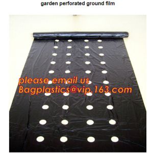 plastic tomatoes home garden polytunnel greenhouse film,Film Covering Tomato