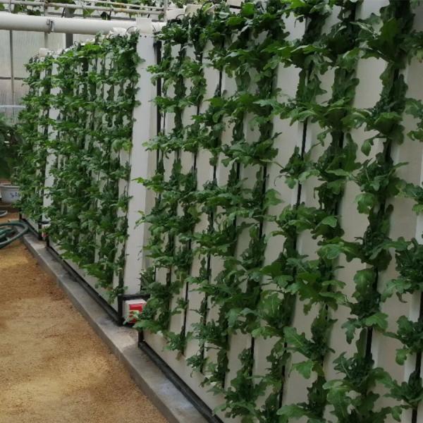 Buy Skyplant Customized NFT Vertical Climate Control Hydroponic Growing Systems at wholesale prices