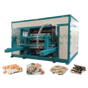Biodegradable Recycled Paper Egg Tray Machine with 3000Pcs / H Capacity