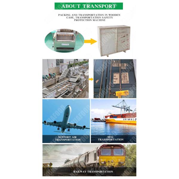 Cabbage Cleaning Fruit And Vegetable Processing Line