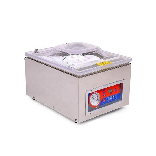 DUOQI DZ-260C Fruit and Vegetable Vacuum Sealer with Microcomputer Program