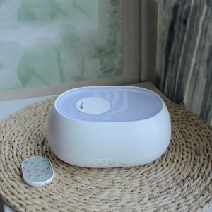 Homefish 2021 Portable LED light 500ml Aroma Essential Oil Diffuser Car Home