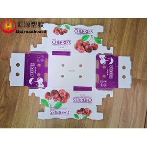 Good Hardness 4mm Corrugated Plastic Shipping Boxes