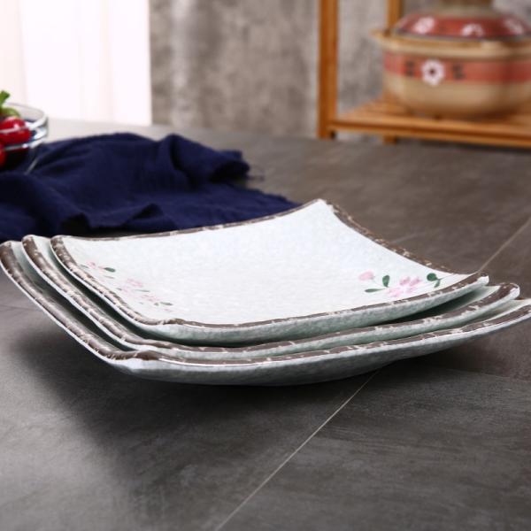 Melamine Plates for Everyday Withstand Temperature -20C 120C Customization