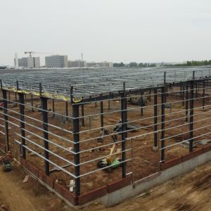 Prefab Steel Structure Building with 50-Year Life Span