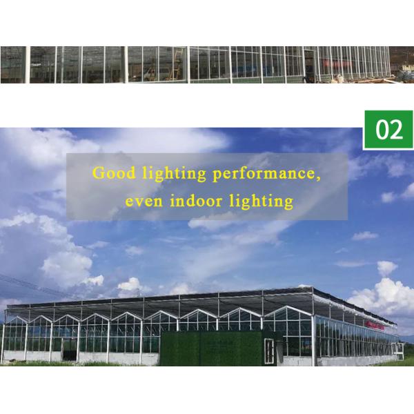 Good Light Permeability Essential for Venlo Glass Greenhouse in Agricultural Industry