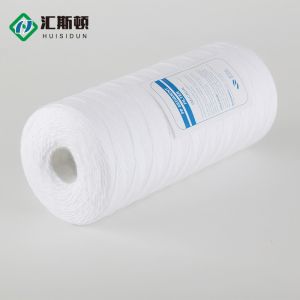 10" PP Polypropylene Cotton Thread Winding Filter Element 1 Micron for Water