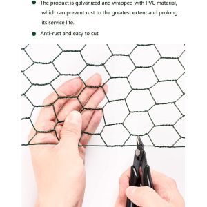 20mmx20mm PVC Coated Hexagonal Chicken Wire Mesh