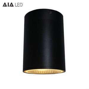 Quality Surface mounted downlight ip65 40W COB LED downlight&amp;outdoor LED downligthing for home for sale