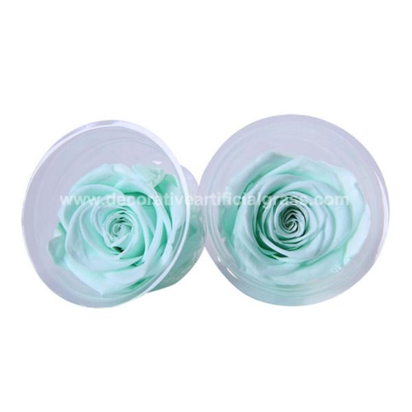 Buy Ecuador Preserved Rose Head Long Life Roses For Party Event Decoration at wholesale prices