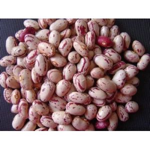 Multifunction Newest Software Kidney Beans Color Sorting Machine Beans Color