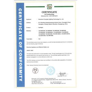Shenzhen Everyday Lighting Technology Co.,LTD Certifications