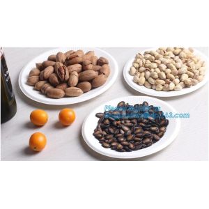 eco sugarcane pulp disposable biodegradable plate,Factory 100% Biodegradable