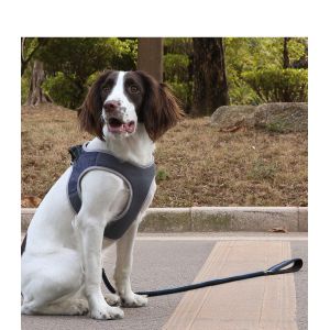 Fashionable Luxury Nice Quality Pet Vast Harness Fastness Walking Leashes For