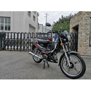 2019 Factory Direct Sale High Quality Classic cub 110cc