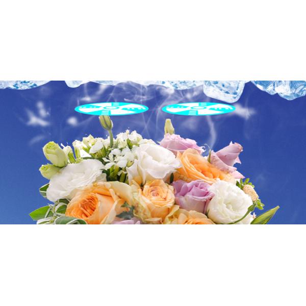 Arabic Language Smart Fresh Flower Vending Machine Designed for Saudi Arabia Qatar United Arab Emirates