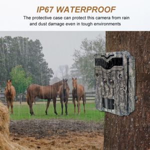 4K Digital Wildlife Camera