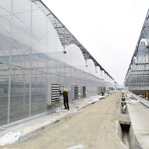 Commercial Multi Span Greenhouse with Tunnel Shading System Tomato Cooling