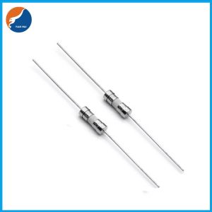 250V AC 3.6x10 Miniature Cartridge Fuse Time Delay Ceramic Tube Fuse