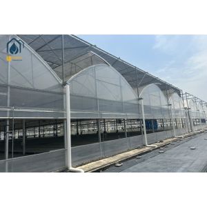 Multi Span Herb Greenhouse Farming UV Resistant With Hydroponic System