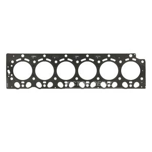 Quality Cylinder Head Gasket 04285625 04259905 04250018 0428 5625 0425 9905 0425 0018 4285625 4259905 4250018 For Deutz TCD7.8 ENGINE for sale