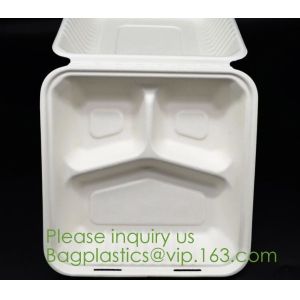 Biodegradable, Sugar Cane, Sugarcane Bamboo Pulp, Bento Box, Bagasse Food