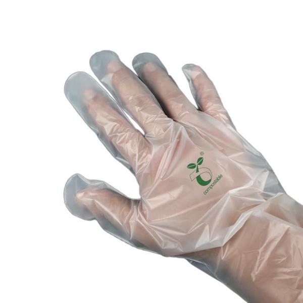 Buy 100% Compostable Gloves, Cornstarchgloves, Food Service Disposable Gloves, Food Prep Cooking Gloves, Eco-Friendly at wholesale prices