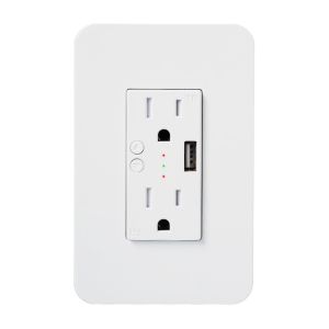2 Gang Smart Wall Socket 120V With 2.1A USB Port US Standard
