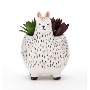 Animal Flower Pots Succulent Plant Pot Customized Plant Propagation Planter
