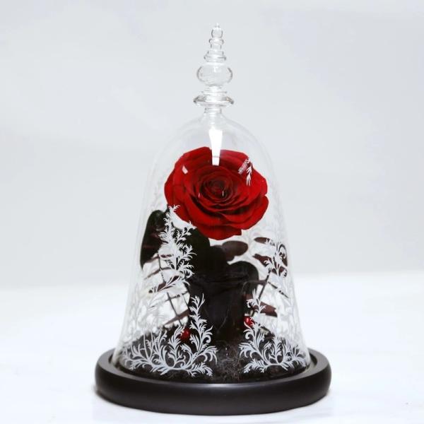 Beauty and the beast roses valentines day real preserved rose in glass that