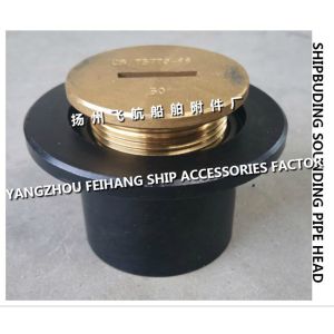 DN50 Marine Deck Sounding Head - Deck Sounding Head - Deck Sounding Injection