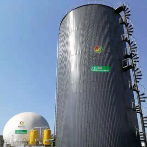 Biogas From Napier Grass Biogas Plant From Waste