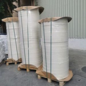 Quality Single Double PE Coated Paper Cup Bottom Roll for Food Grade Disposable Paper Cups for sale