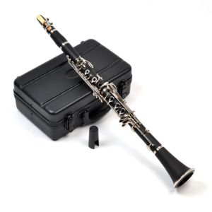 constansa instrumentProfessional Performance Level Ebony Wood Silver Plated 18