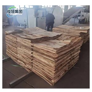 Eco Friendly Customized High Frequency Vacuum Dryer Equipment Energy Efficient