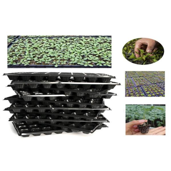 Buy Seed Sprouting Plastic Germination Trays 144 Cell Nursery Plant at wholesale prices