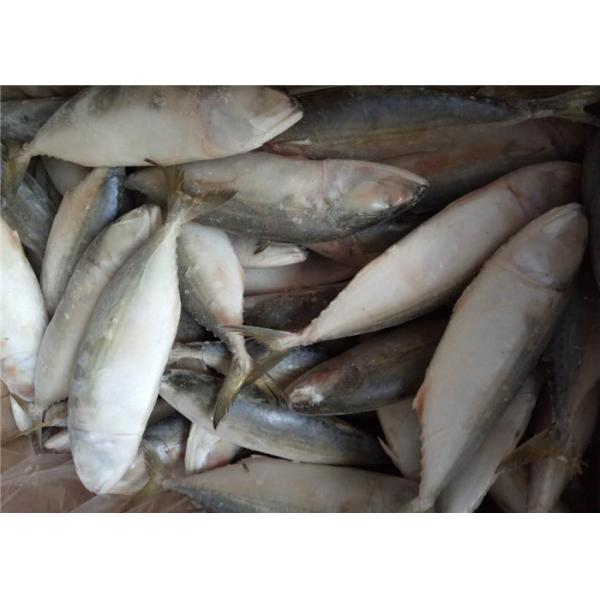Scomber Japonicus Seafood 60G Frozen Indian Mackerel For Home