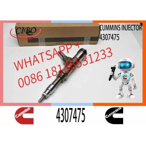 Diesel Fuel Injector Common Rail Injector For Scania ISG XPI 2872544, 4307475,