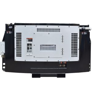 Reefer Container Three-Phase Power Output Temporary Cold Storage Reefer