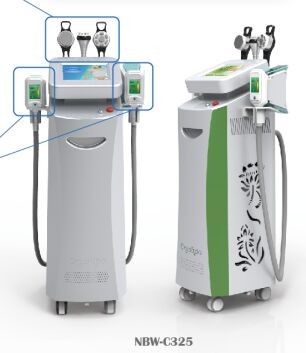 Body Shaping Beauty Machine / Cryolipolysis Weight Loss Cryotherapy
