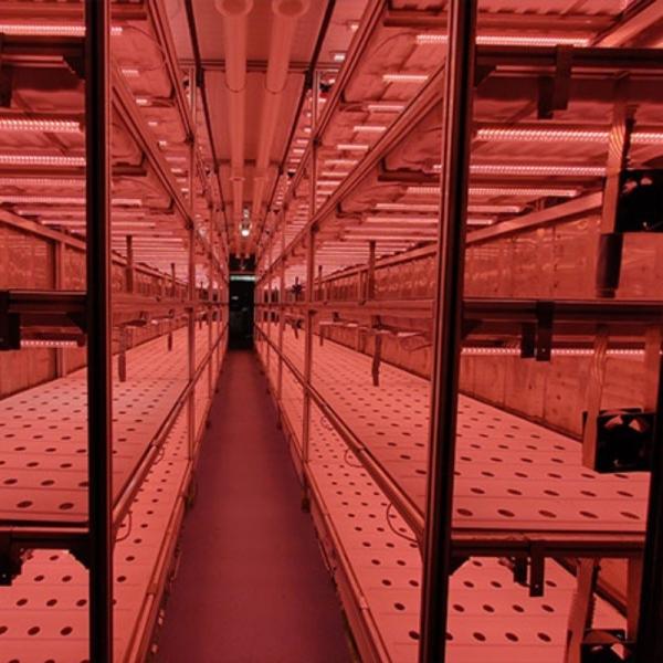 Buy Vertical Shipping Fish Farming Container with Multi-Span Agricultural Greenhouses at wholesale prices