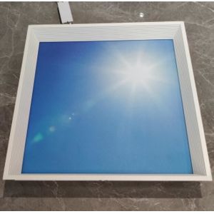 Topsung blue sky cloud commercial led panel light 2*2 FT 600*600mm Hall hospital