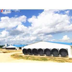 Automatic Steel Poultry House Prefab Broiler Chicken Houses with Ventilation